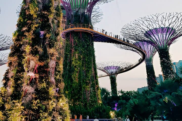 OCBC Skywalk, Garden of Bay